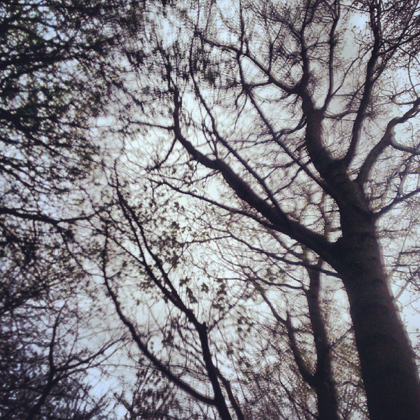 Film work